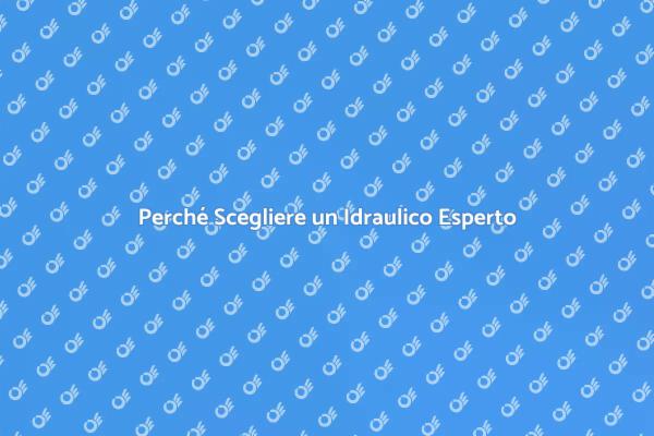 Idraulico Professionista: Un Necessario Alleato
