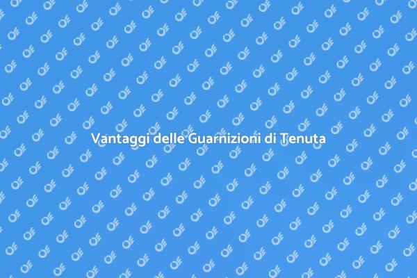 Guarnizioni di Tenuta: Manutenzione Essenziale