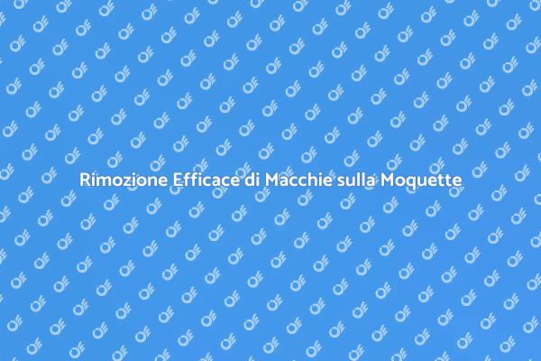 Pulizia Professionale della Moquette