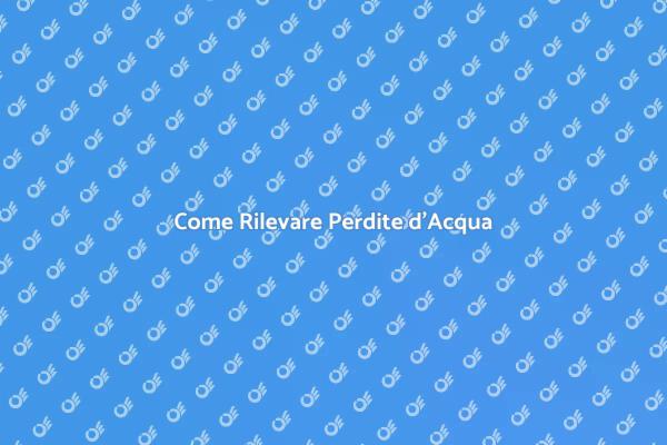 Rilevazione Perdite d'Acqua Efficace