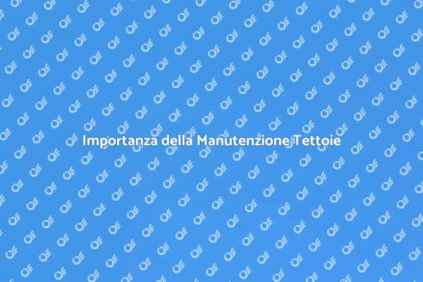 Sicurezza e Manutenzione Tettoie