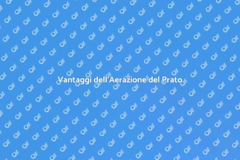 Aerazione Professionale del Prato