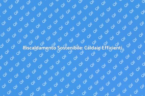 Caldaia a Basso Consumo Energetico