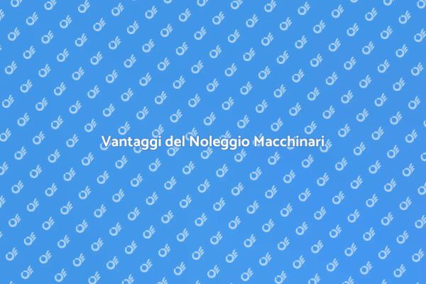 Ottimizza i Tuoi Progetti con il Noleggio