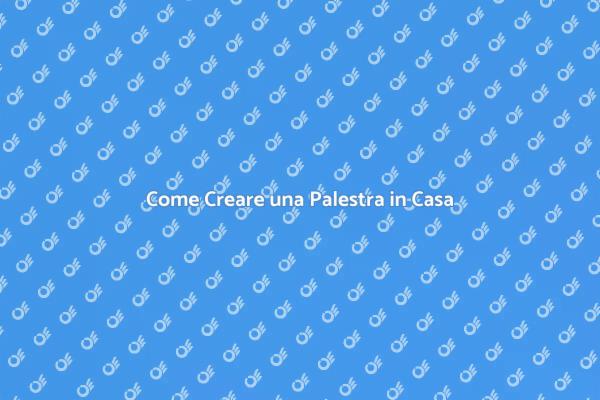 Guida alla Palestra Domestica