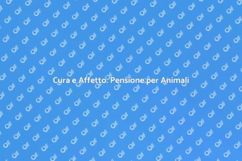 Pensione per Animali: Cura e Affetto