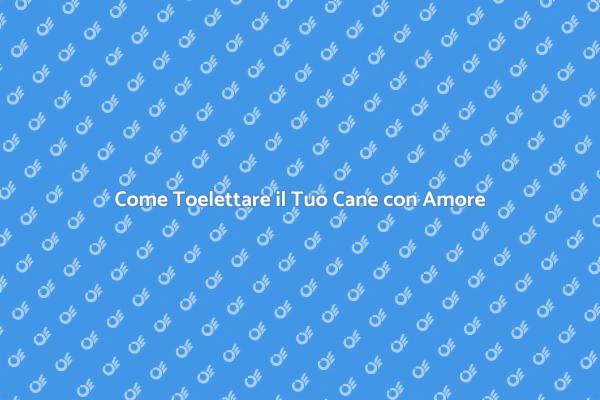 Toelettatura: Salute e Bellezza per il Cane