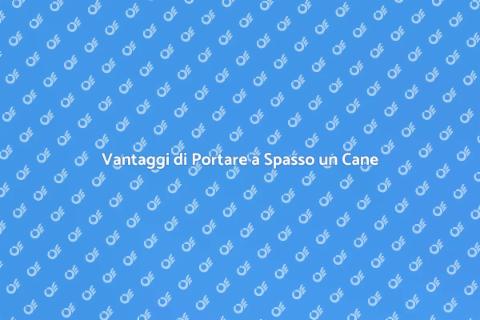 Portare a Spasso un Cane: Vantaggi