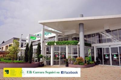 Fratelli Carrara  - Foto 6