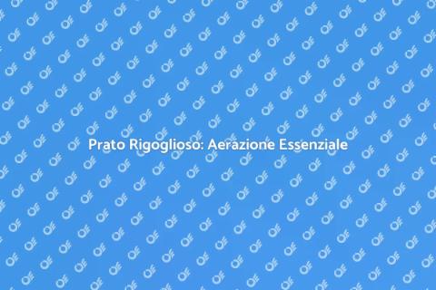 Aerare il Prato per Crescita Vigorosa