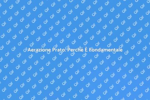 Aerare il Prato: Guida Completa