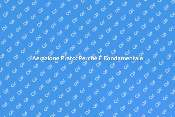 Aerazione Efficace per il Tuo Giardino