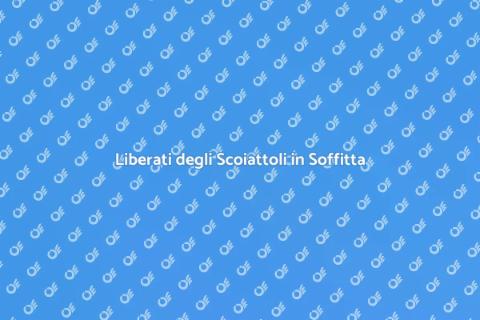 Rimuovere Scoiattoli dalla Soffitta