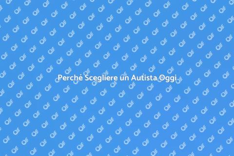 Vantaggi di un Autista Professionale