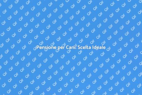 Porta il Cane in Pensione: Guida