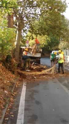 Il Giardino  - Foto 8