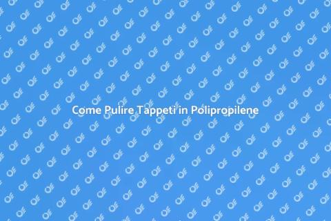 Pulizia Tappeti in Polipropilene