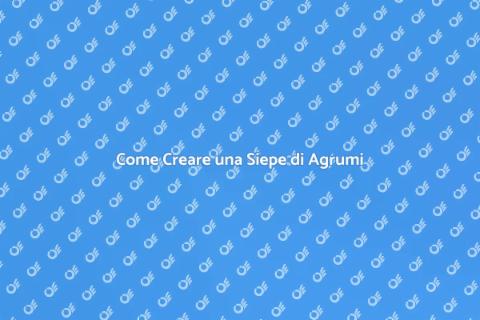 Siepe di Agrumi: Bellezza e Funzionalità