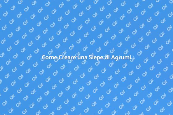 Siepe di Agrumi: Un Giardino Vivace