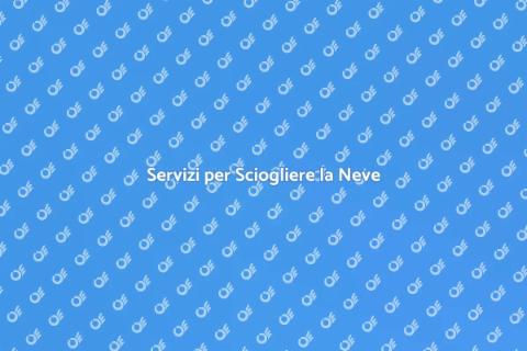 Sciogliere la Neve: Servizi Professionali