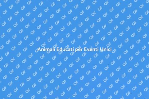 Educare Animali per Eventi Speciali