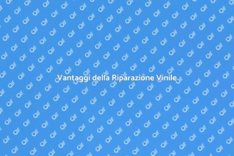 Riparazione Rivestimenti in Vinile