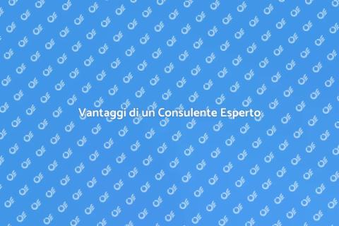 Supporto di un Consulente Esperto