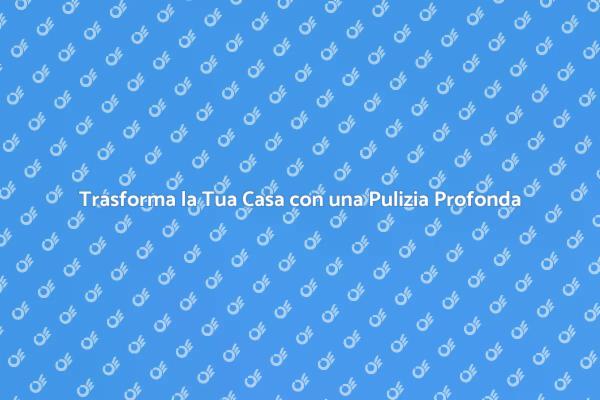 L'Arte della Pulizia Approfondita