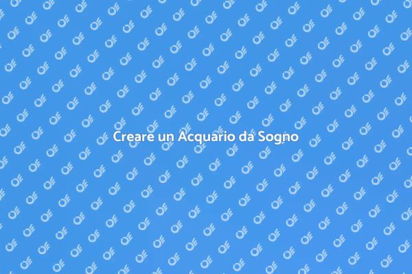 L'Arte di Progettare un Acquario