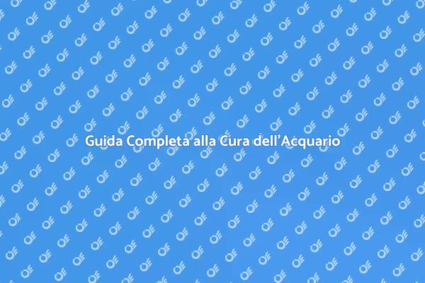 Creazione e Cura dell'Acquario