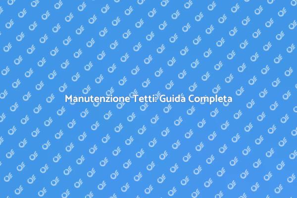 Tetti: Riparazione e Manutenzione Essenziali
