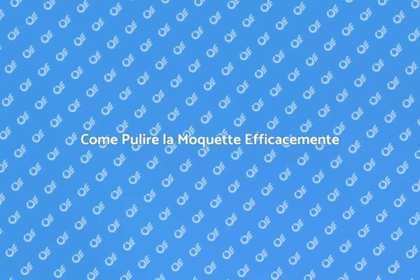 Pulizia della Moquette: I Nostri Consigli