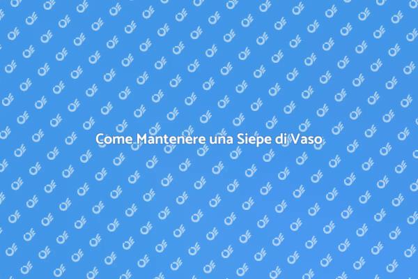 Segreti per Curare Siepi di Vaso