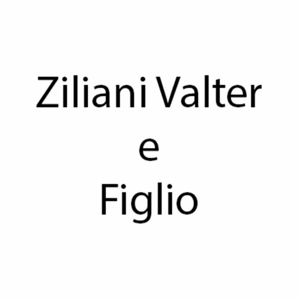 Ziliani Valter e Figlio  - Foto 1