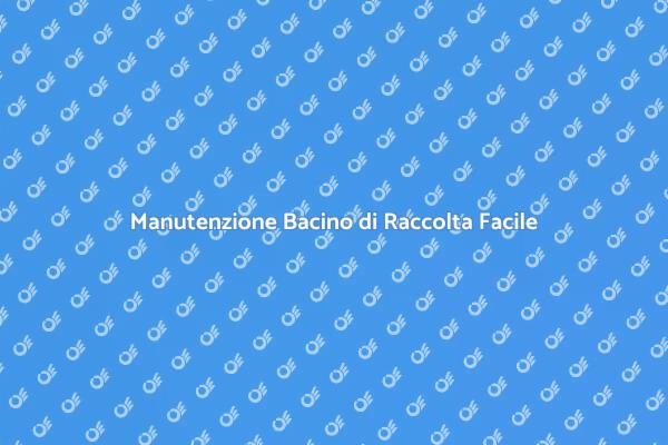 Importanza della Pulizia del Bacino