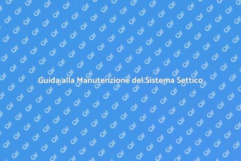 Riparazione e Manutenzione Sistema Settico