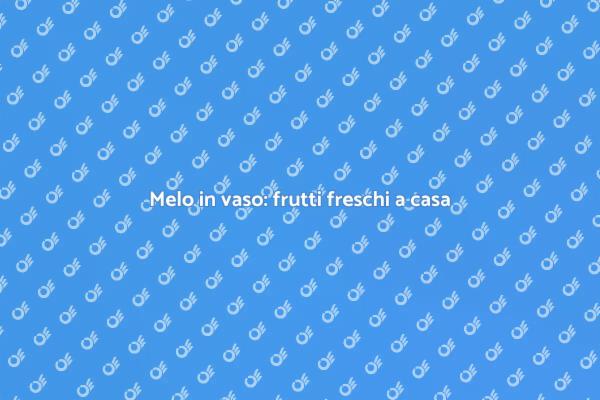 Melo in vaso: la tua guida pratica