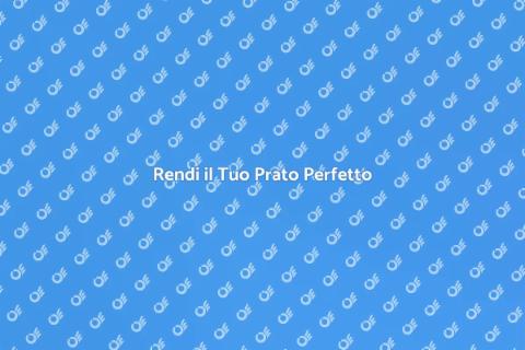 Livellamento del Prato Perfetto
