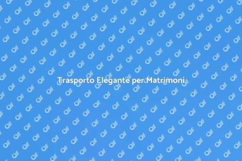 Noleggio Minibus per Matrimoni