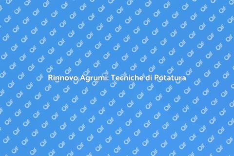 Potatura Rinnovo Agrumi: Guida Pratica