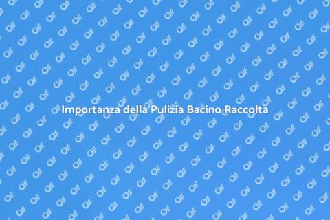 Pulizia Bacino di Raccolta Essenziale