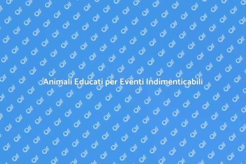 Educare Animali per Eventi Speciali