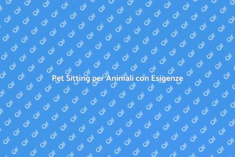 Pet Sitting per Animali Speciali