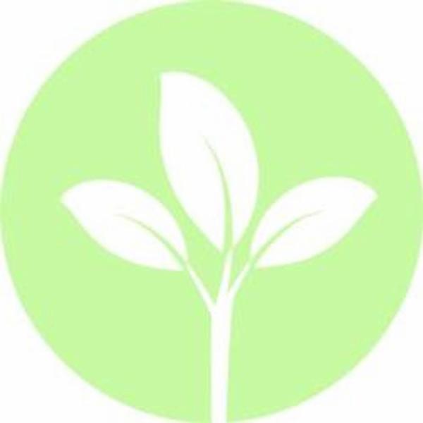 Margherita Zannoni Psicologa Psicoterapeuta  - Foto 1