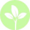 Margherita Zannoni Psicologa Psicoterapeuta 