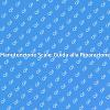 Scale Interne: Riparazione e Design