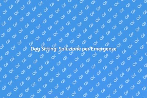 Dog Sitting in Emergenza: Soluzione Fida