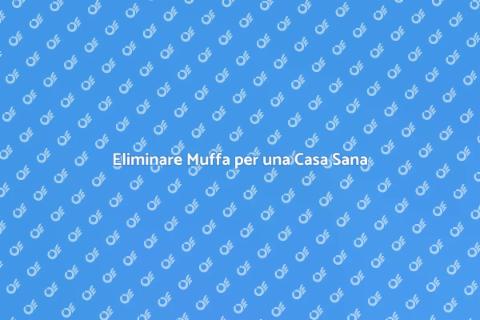 Rimozione Muffa: Guida Completa