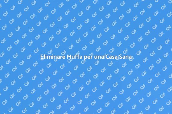 Liberati dalla Muffa in Casa