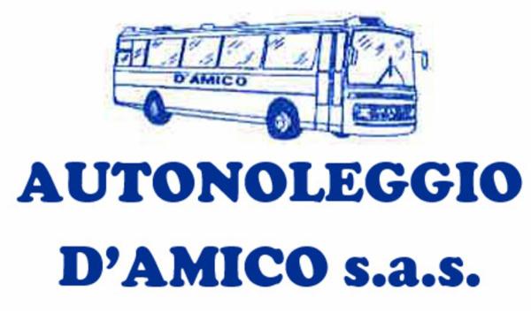 Noleggio Bus D'Amico  - Foto 8